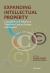 Expanding Intellectual Property : Copyrights and Patents in 20th Century Europe and Beyond