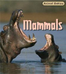 Mammals
