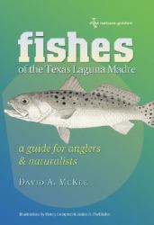 Fishes of the Texas Laguna Madre : A Guide for Anglers & Naturalists
