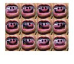 Uncategorised Breathing