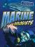 Marine Biologists Marine Biologists