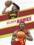 Atlanta Hawks All-Time Greats Atlanta Hawks All-Time Greats