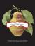 In Late Winter We Ate Pears : A Year of Hunger and Love - Seasonal Recipes and Stories from an Italian Kitchen In Late Winter We Ate Pears : A Year of Hunger and Love - Seasonal Recipes and Stories from an Italian Kitchen