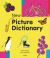 New Picture Dictionary (English)