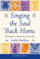 Singing the Soul Back Home : Shamanic Wisdom for Every Day
