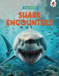 Shark Encounters