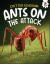 Ants on the Attack