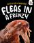 Fleas in a Frenzy