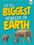 Top Ten Biggest Wonders on Earth