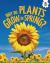 Why Do Plants Grow in Spring?