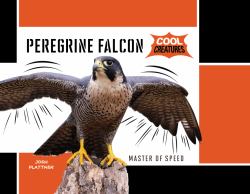 Peregrine Falcon : Master of Speed