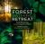 Forest Bathing Retreat : Find Wholeness in the Company of Trees
