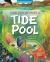 What Goes on Inside a Tide Pool : A Hermit Crab's Search for a New Home What Goes on Inside a Tide Pool : A Hermit Crab's Search for a New Home