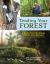 Tending Your Forest : A Guide to Ecological Forest Stewardship in the Eastern and Central United States