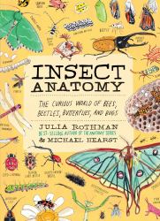 Insect Anatomy : The Curious World of Bees, Beetles, Butterflies, and Bugs