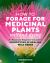 How to Forage for Medicinal Plants Without Dying : An Absolute Beginner's Guide to Identifying 32 Healing Wild Herbs