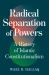 Radical Separation of Powers : A History of Islamic Constitutionalism