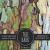 Tree Bark Scrapbook Paper Pad : Rustic Texture Pattern 8x8 Decorative Paper Design Scrapbooking Kit for Cardmaking, DIY Crafts, Creative Projects
