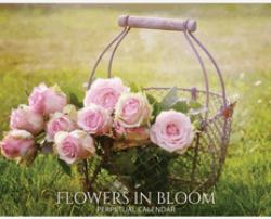 Flowers in Bloom Perpetual Calendar : Floral Photography Hardcover Monthly Daily Desk Organizer for Birthdays, Important Dates, Anniversaries, Special Days, Keepsake Gifts