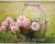 Flowers in Bloom Perpetual Calendar : Floral Photography Hardcover Monthly Daily Desk Organizer for Birthdays, Important Dates, Anniversaries, Special Days, Keepsake Gifts