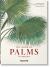 Martius. the Book of Palms. 45th Ed