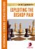 Exploiting the Bishop Pair : Winning Chess Strategies