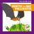 Benito the Bat Pollinates Benito the Bat Pollinates