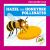 Hazel the Honeybee Pollinates Hazel the Honeybee Pollinates