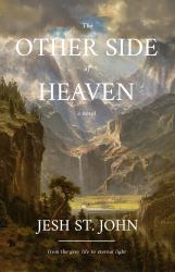 The OTHER SIDE of HEAVEN - a Novel : From the Grey Life to Eternal Light