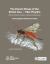 The Darwin Wasps of the British Isles - Tribe Pimplini (family Ichneumonidae, Subfamily Pimplinae) : A Photographic Reference Guide