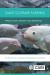 Giant Gourami Farming : Production, Growth and Breeding