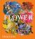Flower : Exploring the World in Bloom Flower : Exploring the World in Bloom