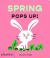 Spring Pops Up! Spring Pops Up!