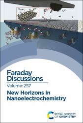 New Horizons in Nanoelectrochemistry : Faraday Discussion 257