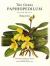 Genus Paphiopendium