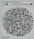 Vitamin Txt : Words in Contemporary Art