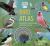 Bird Atlas