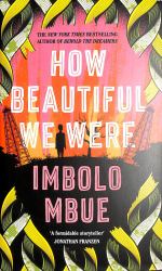 How Beautiful We Were