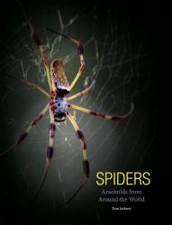 Spiders : Arachnids from Around the World