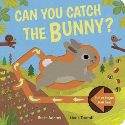Can You Catch the Bunny? : Can You Catch the Bunny?