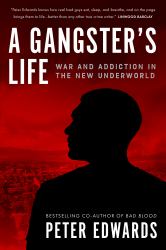 A Gangster's Life : War and Addiction in the New Underworld