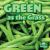 Green As the Grass