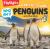 Who Am I? Penguins and Other Birds : A Riddle Puzzle Book