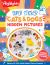 Super Sticker Cats and Dogs Hidden Pictures