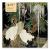 Adult Jigsaw Puzzle Ashmolean: Cranes, Cycads and Wisteria (500 Pieces) : 500-Piece Jigsaw Puzzles