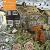 Adult Jigsaw Puzzle Angela Harding: Rose Cottage : 1000-Piece Jigsaw Puzzles