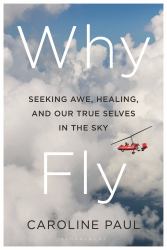 Why Fly : Seeking Mystery, Awe, and Our True Selves in the Sky