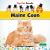 Maine Coon