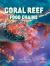 Coral Reef Food Chains Coral Reef Food Chains