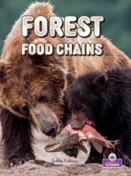 Forest Food Chains